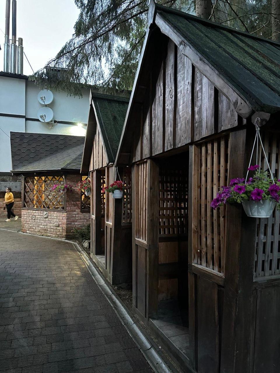 Alpiyskiy Jablunyzja Exterior foto